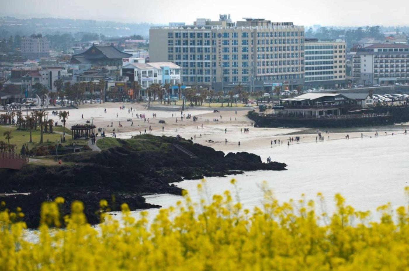 Saint Beach Hotel 済州市 エクステリア 写真